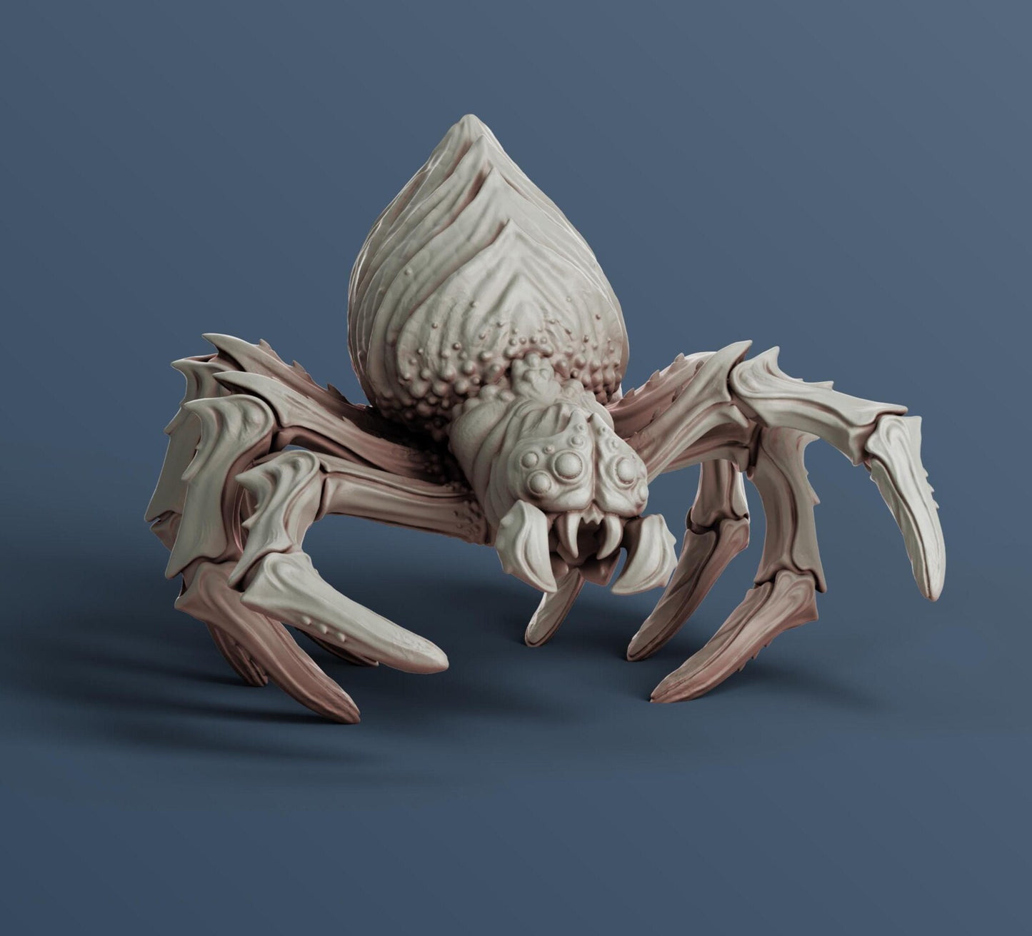 Pack x5 Spider Set - 28mm