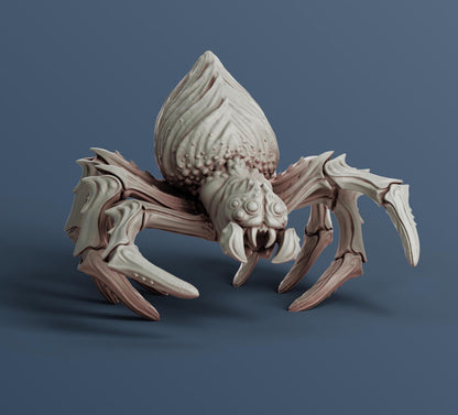 Pack x5 Spider Set - 28mm
