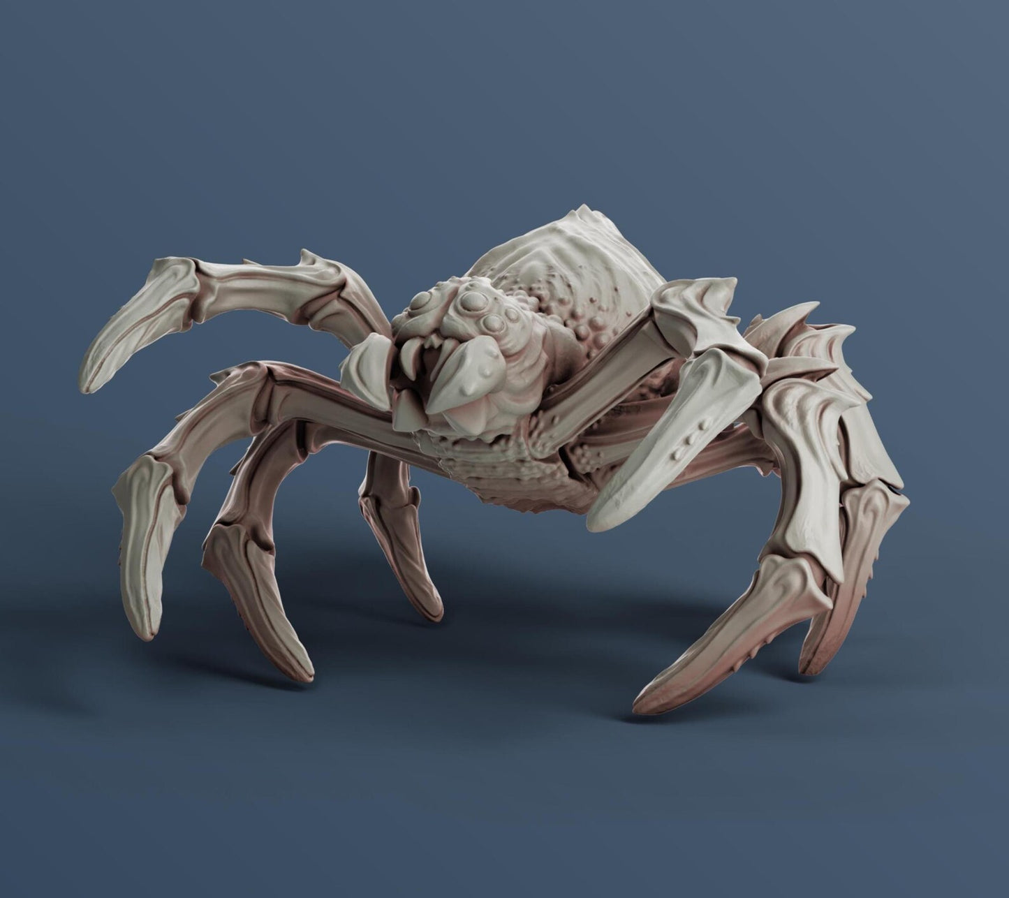 Pack x5 Spider Set - 28mm