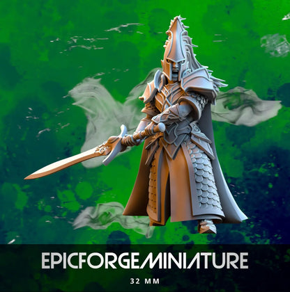 Elfes de Silvermoor Lames d'Ashur   -  32 mm