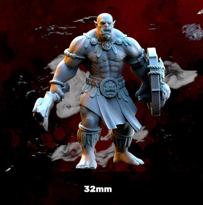 Salanaar guerrier Orc - 32 mm