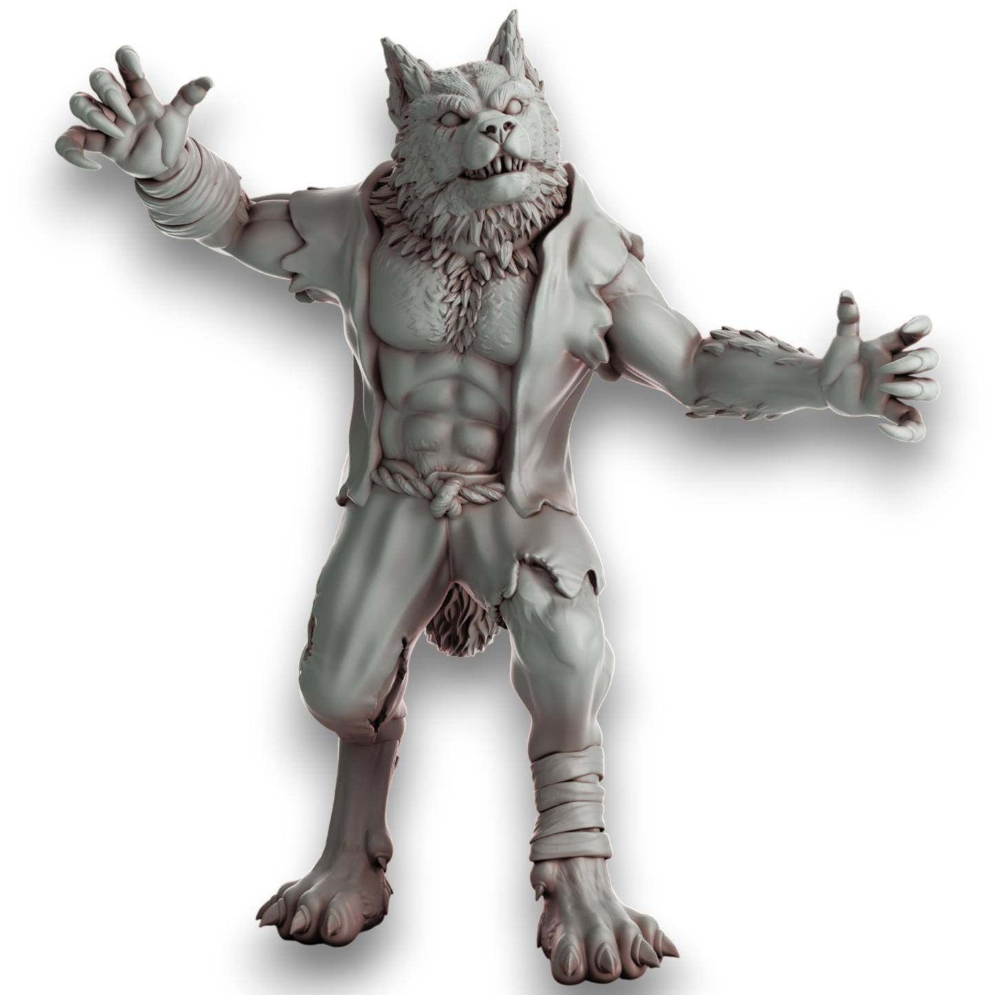 Pack x5 Meute de loups-garous 32 mm