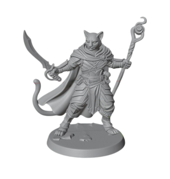 Pack x5 Tabaxi Set - 28 mm